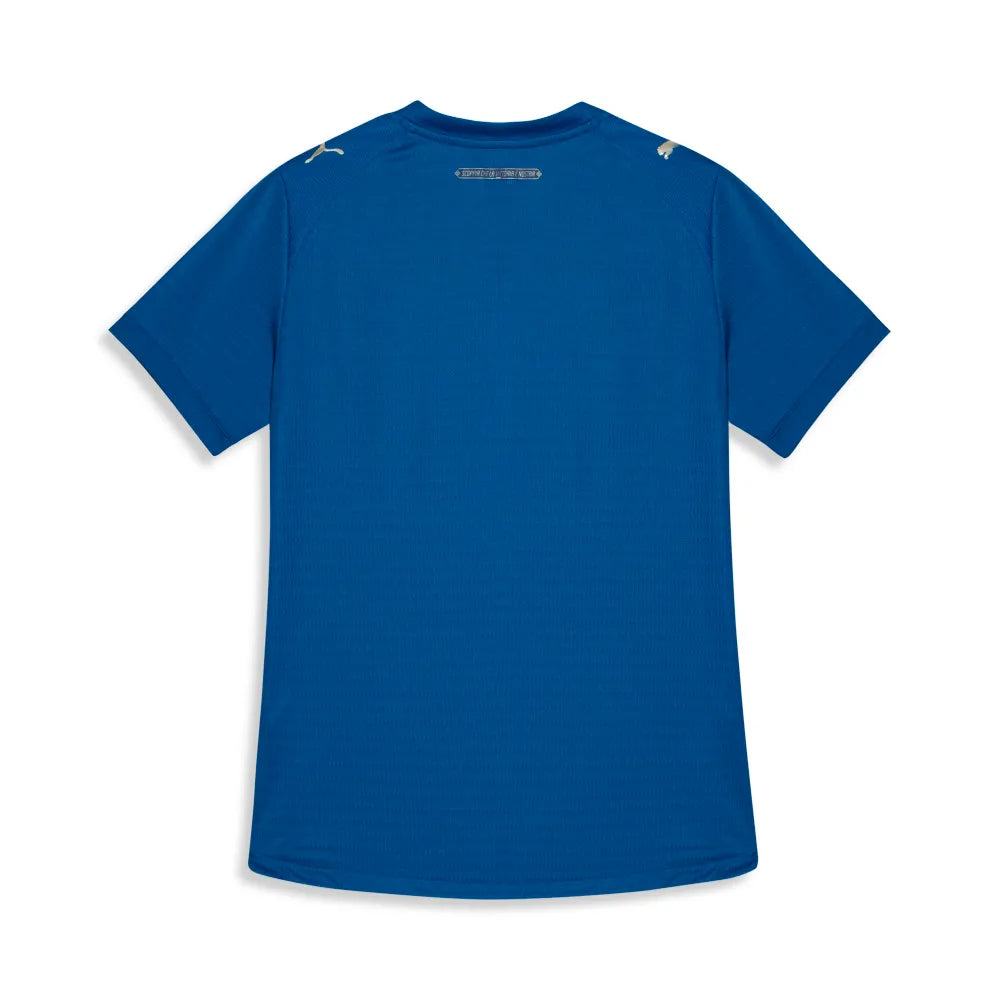 Camisa Puma Palmeiras 26/27 Third