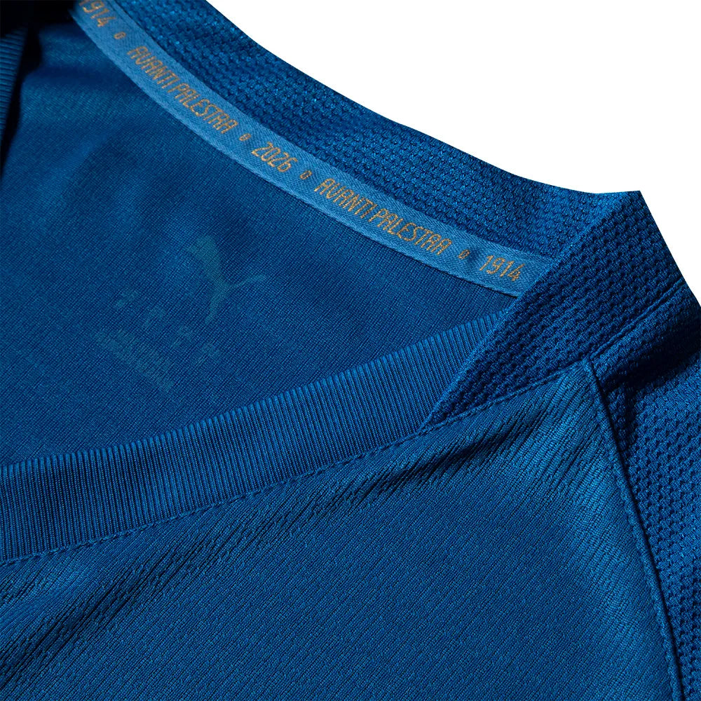 Camisa Puma Palmeiras 26/27 Third