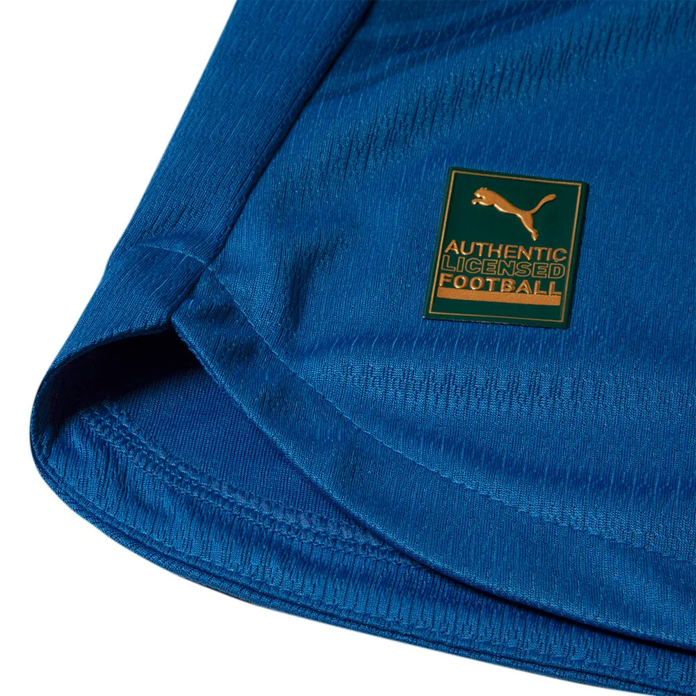 Camisa Puma Palmeiras 26/27 Third